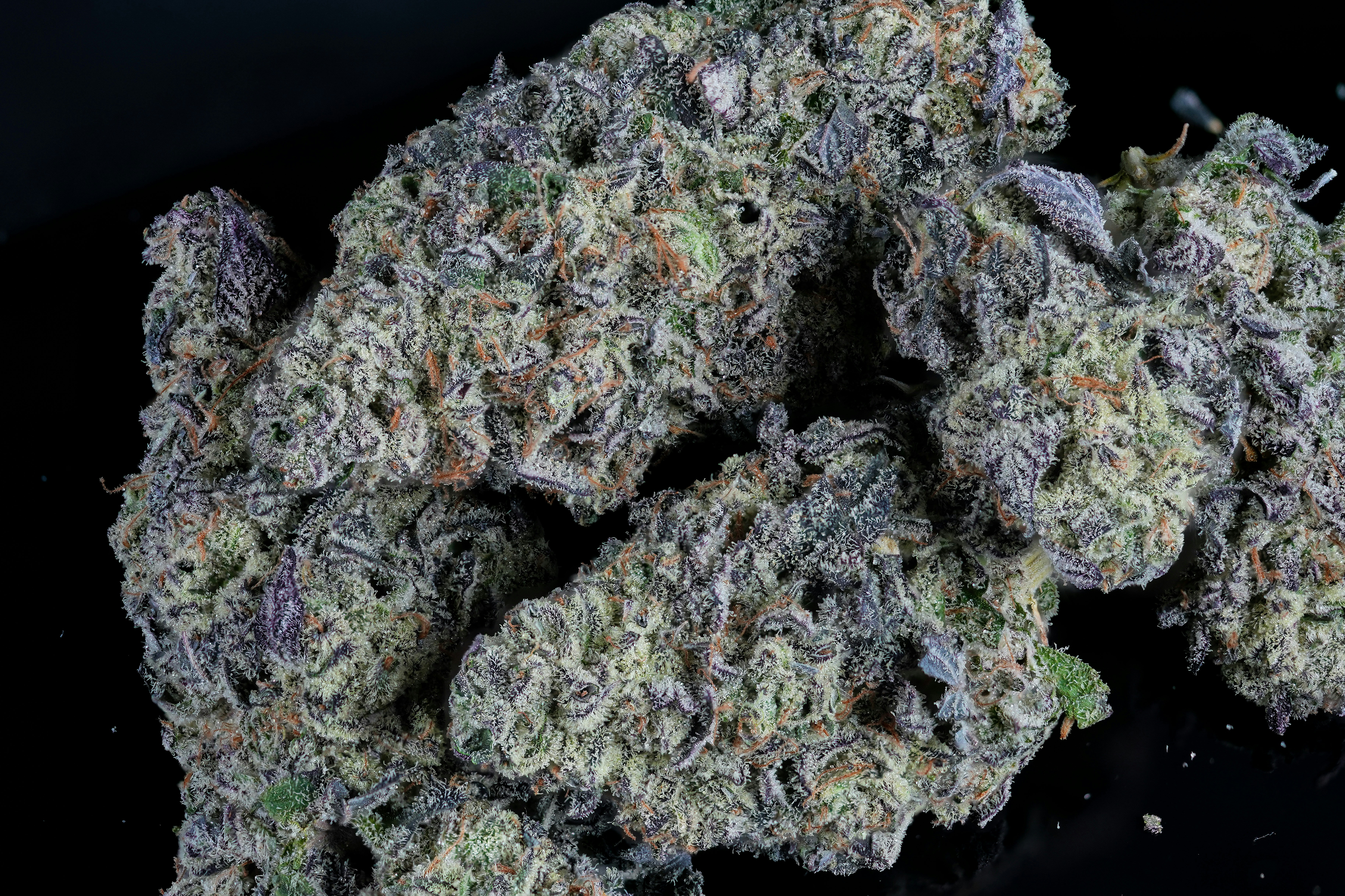 Ignite Cannabis